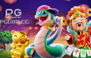 大满贯app2024最新版